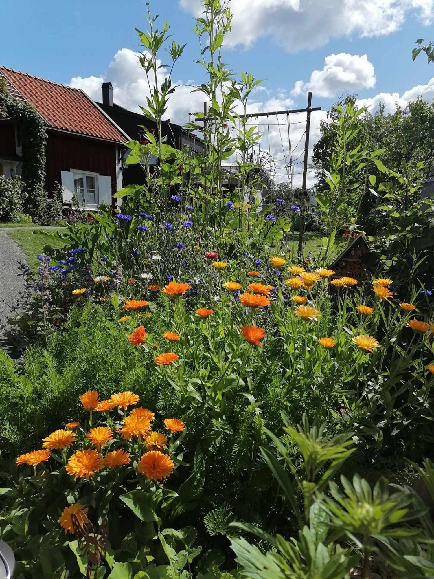 Stuga med lantlig känsla nära Örebro city Exteriör bild